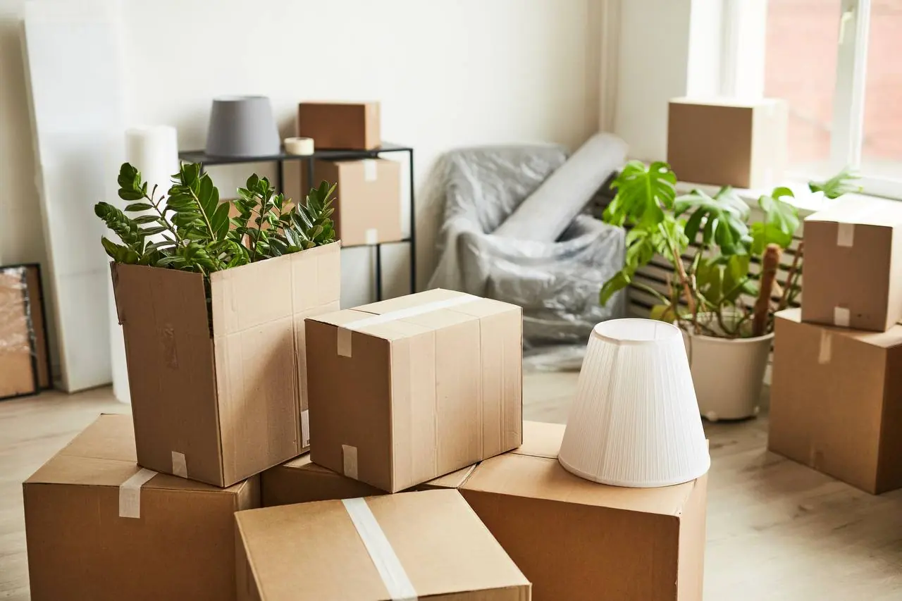 Professional movers using dolly to move boxes in Springfield, MA